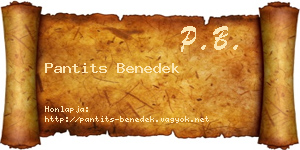 Pantits Benedek névjegykártya